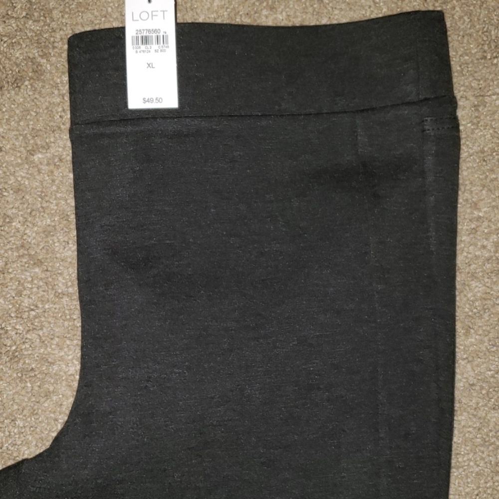 LOFT Seamed Ponte Pant